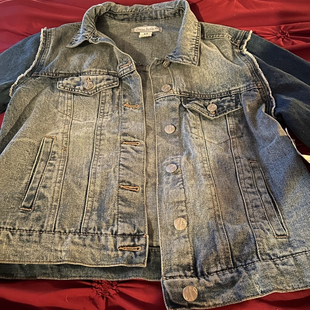 Custom ramones jacket - Picture 5 of 8